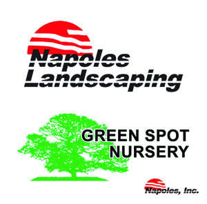 Napoles Combo Logo Napoles Combo Logo